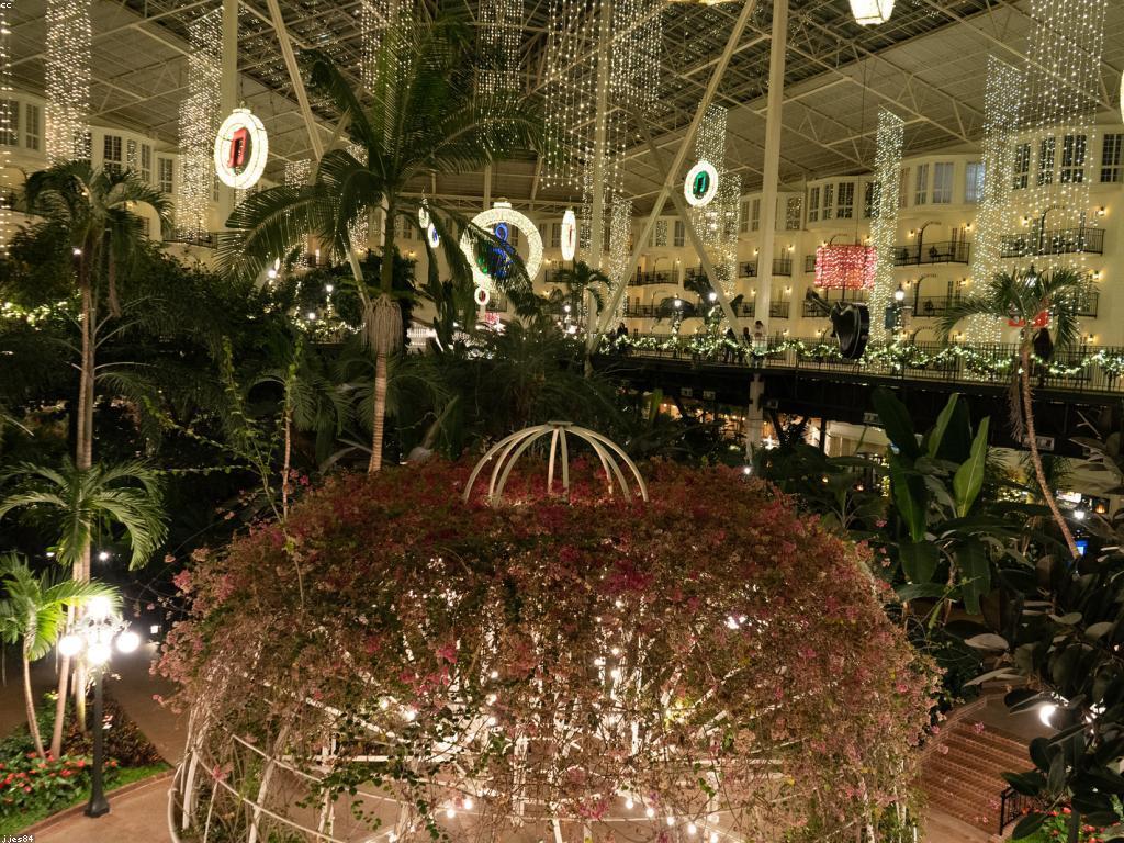 ការបុណ្យចូលឆ្នាំ និង ការប្រារព្ធពិធីជាពិសេស