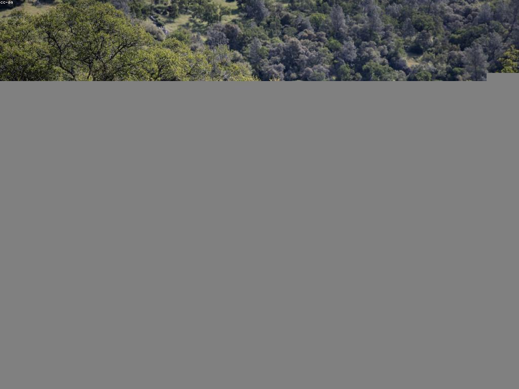 ការស្វែងរកជម្រើសកម្សាន្តថ្មីៗ